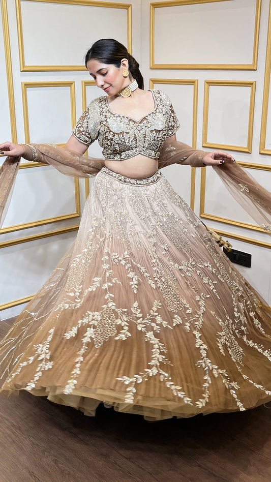 Brown ombre lehenga with zarkan & sequins work on net choli and four side border dupatta
