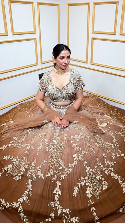 Brown ombre lehenga with zarkan & sequins work on net choli and four side border dupatta