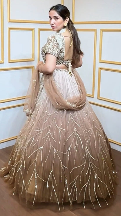 Brown ombre lehenga with zarkan & sequins work on net choli and four side border dupatta
