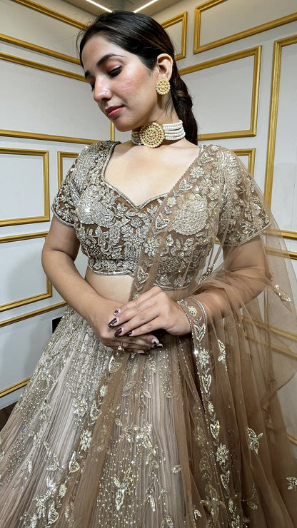 Brown ombre lehenga with zarkan & sequins work on net choli and four side border dupatta