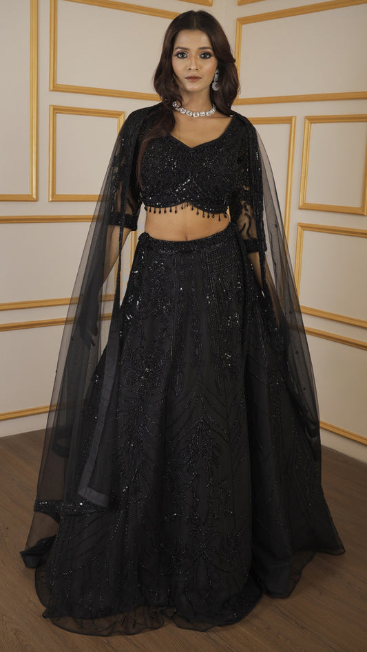Black net lehenga with cut dana & sequins