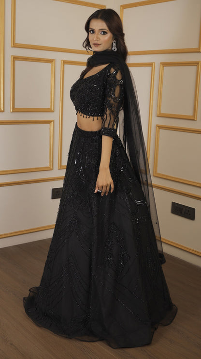 Black net lehenga with cut dana & sequins