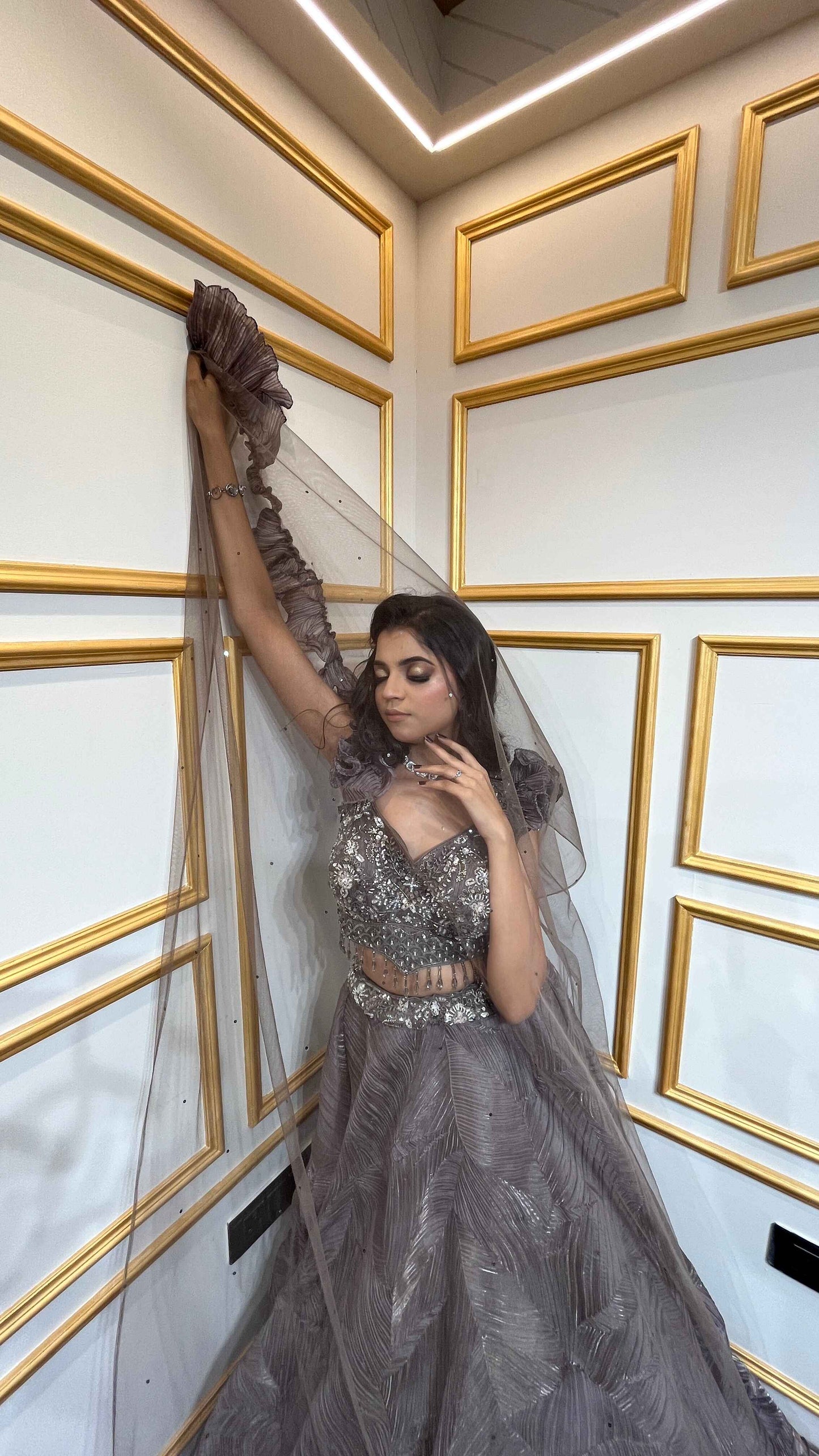 Ash brown crush tissue lehenga choli with crystal & sequins