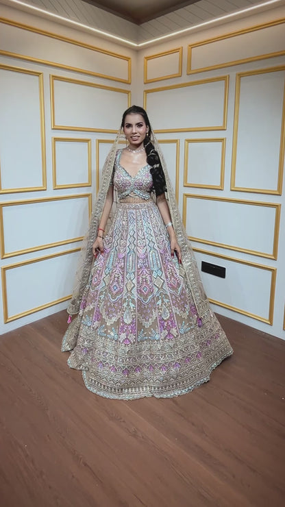 Multicolor thread & zari work on nude brown net lehenga with heavy dupatta